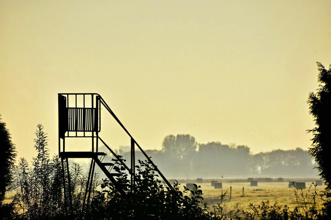 Vakantiehuis Het Voorhuis Op Landgoed Koepeltjesplaats Gaast Zewnętrze zdjęcie