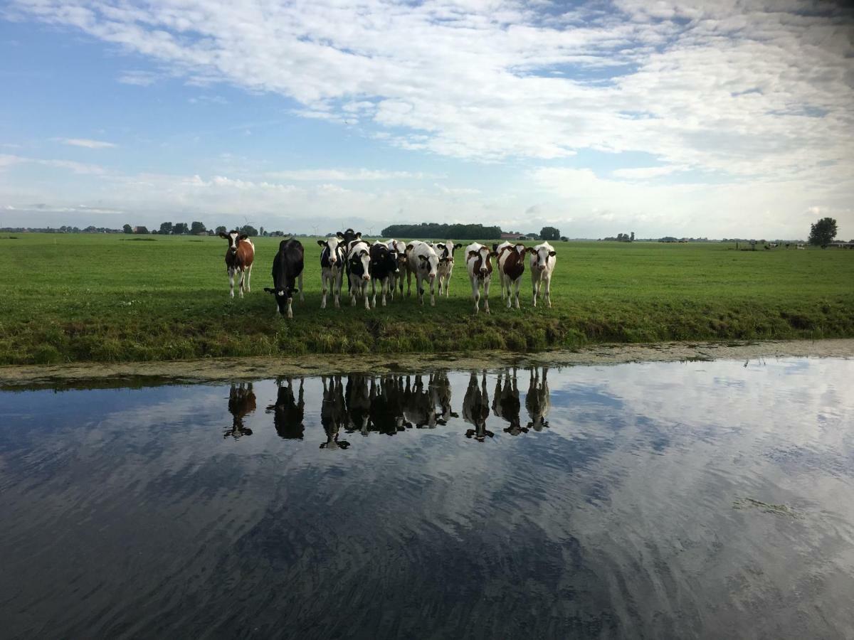 Vakantiehuis Het Voorhuis Op Landgoed Koepeltjesplaats Gaast Zewnętrze zdjęcie