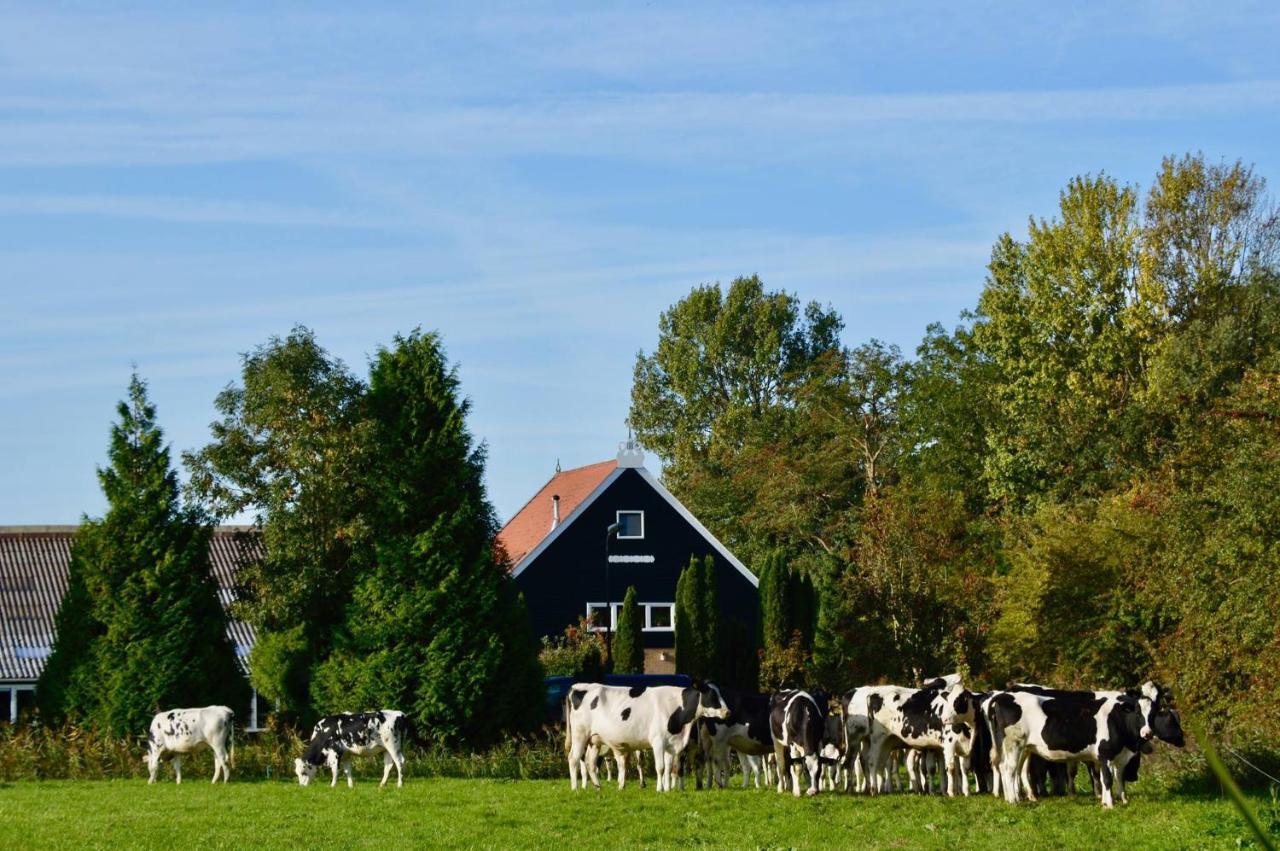 Vakantiehuis Het Voorhuis Op Landgoed Koepeltjesplaats Gaast Zewnętrze zdjęcie